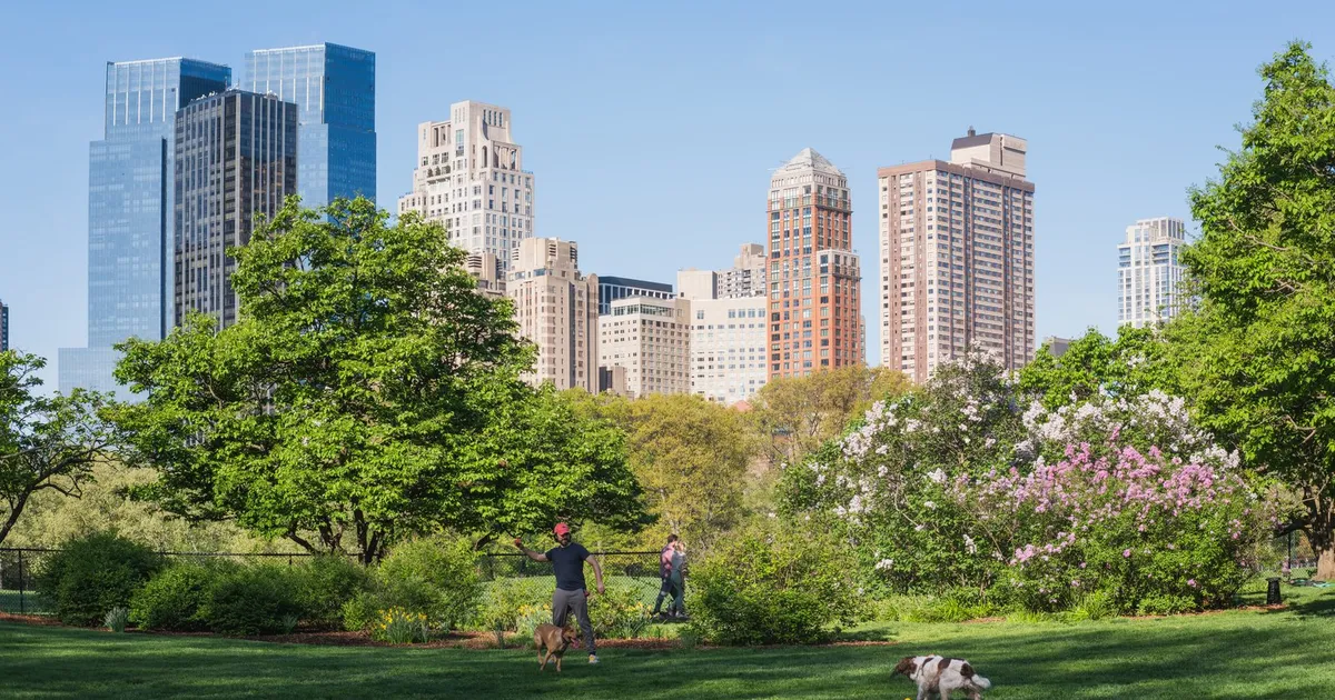 Central Park en primavera, con lilos en flor y los edificios del Upper West Side de Manhattan al fondo (imagen ilustrativa, Nueva York, 2026)