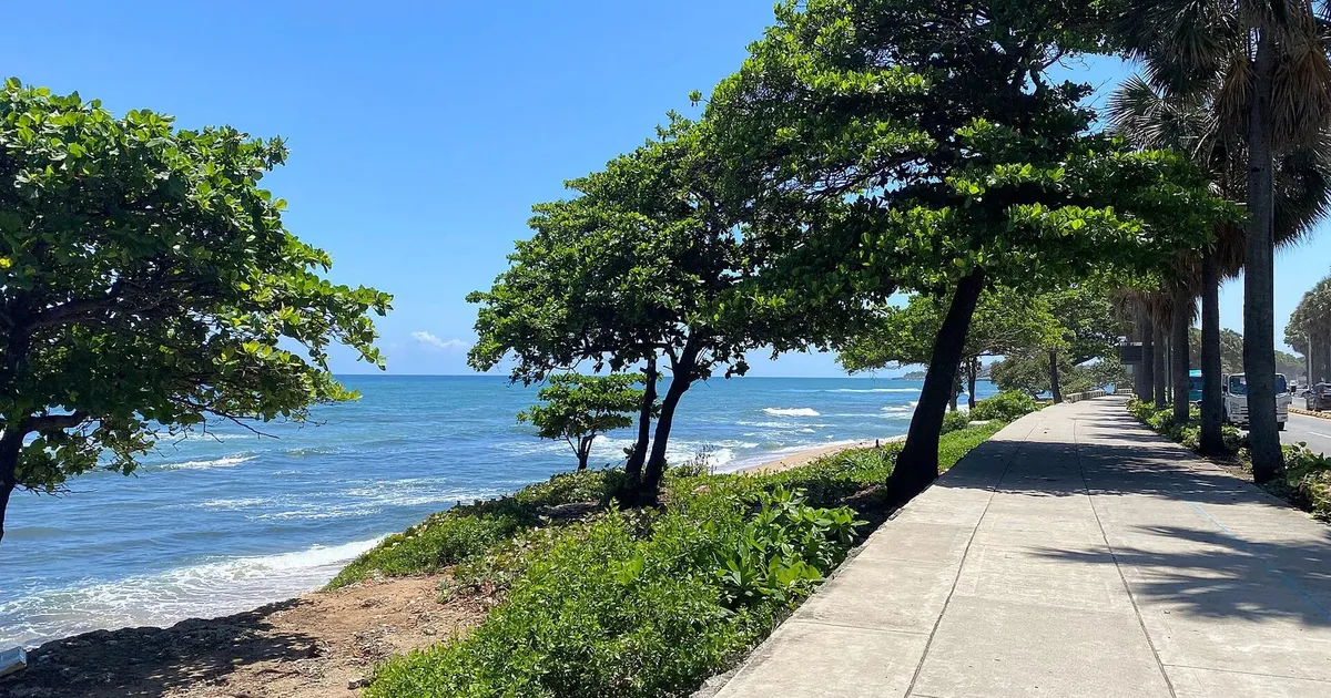 Paseo del Malecón de Santo Domingo junto al mar Caribe, con árboles y palmeras (imagen ilustrativa, 2024)